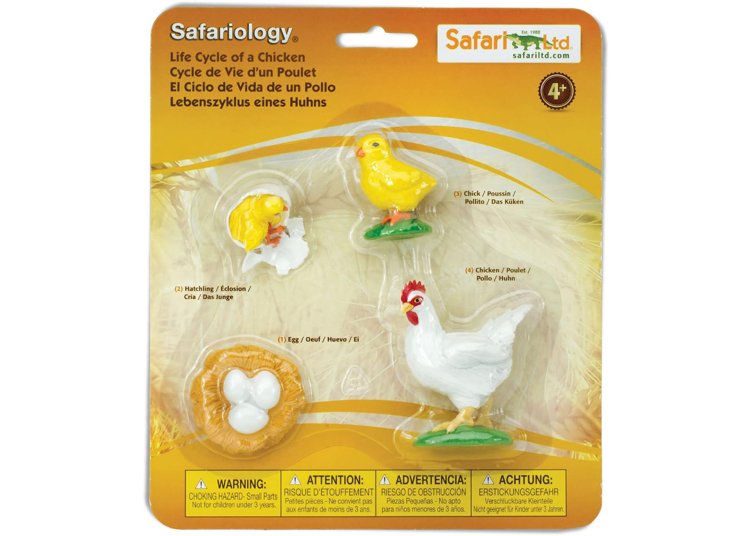 Set de 4 Figuras en Miniatura Ciclo de la Vida Pollito