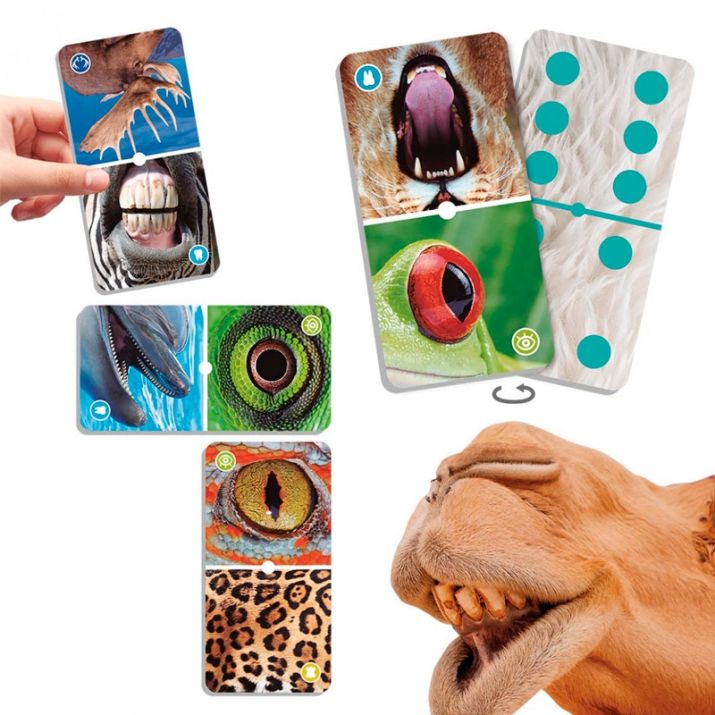Natudomino de gran formato El zoom de los animales Akros