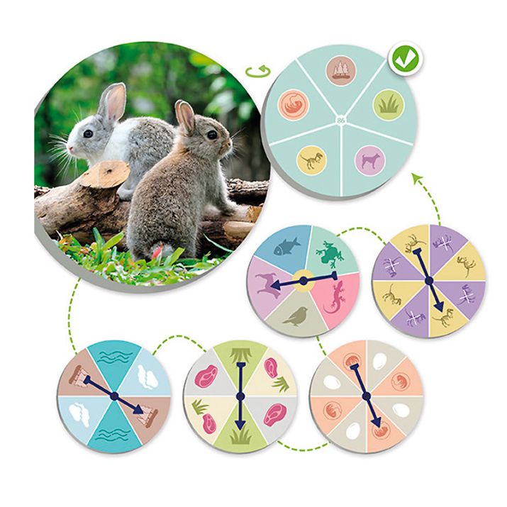 El mundo animal: Descubre y clasifica – Akros | Juego para clasificar animales según sus características